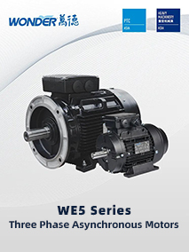 Three Phase Asynchronous Motors